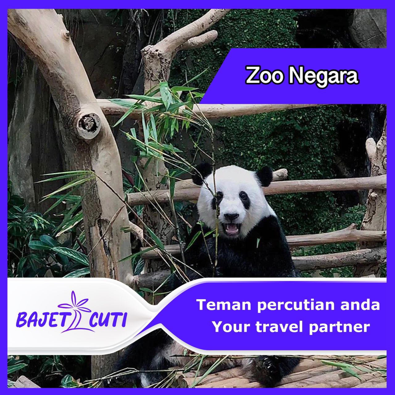 Zoo Negara Malaysia + Giant Panda Admission Ticket (Open Date 3 Months ...