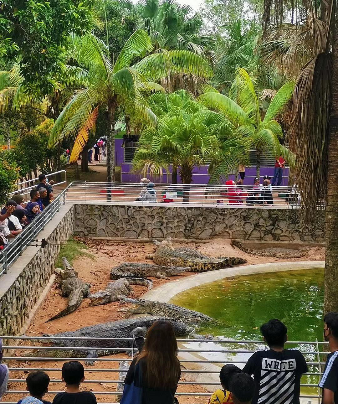 Taman Buaya & Rekreasi Melaka Crocodile and Recreation Park Ticket ...